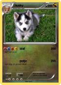 husky