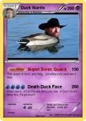 Duck Norris