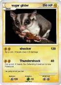 sugar glider