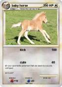 baby horse