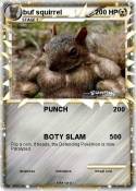buf squirrel