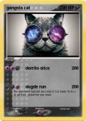gangsta cat