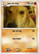 jake the dog