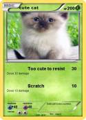 cute cat cute cat