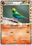 small bird