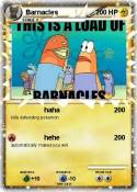 Barnacles