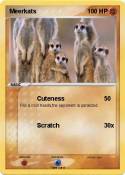 Meerkats