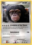 Ape