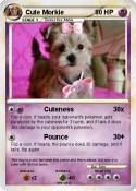 Cute Morkie