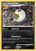 micro frog