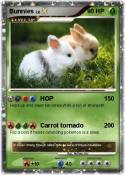 Bunnies