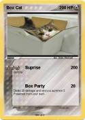 Box Cat