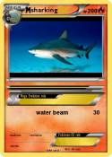 sharking