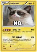 grumpy cat
