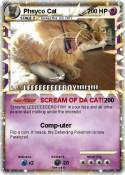 Phsyco Cat