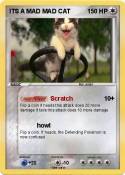 ITS A MAD MAD CAT ITS A MAD MAD