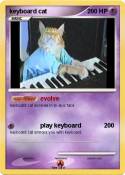keyboard cat
