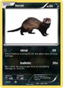 ferret