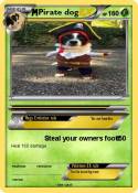Pirate dog