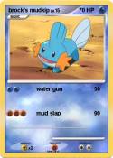 brock's mudkip