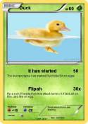Duck