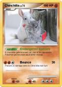 Chinchilla