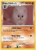 Angry Kitteh Angry Kitteh