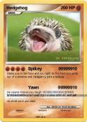 Hedgehog