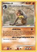 monkey