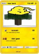 star berd star berd