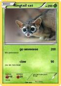 Ringtail cat