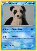 Mr.Panda