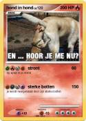 hond in hond