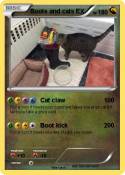 Boots and cats