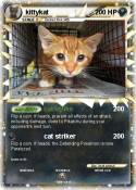 kittykat