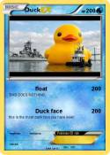 Duck