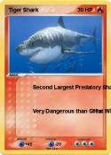 Tiger Shark