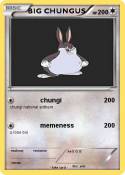 BIG CHUNGUS