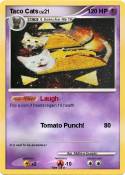 Taco Cats