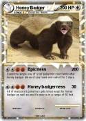 Honey Badger