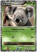 king koala