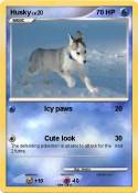 Husky