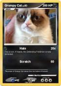 Grumpy Cat