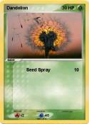 Dandelion