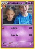 defend brothers