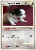 Yawning Puppy
