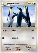 penguin team