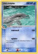 crazy dolphin