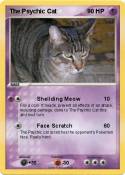 The Psychic Cat