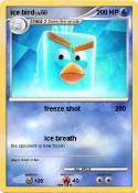 ice bird